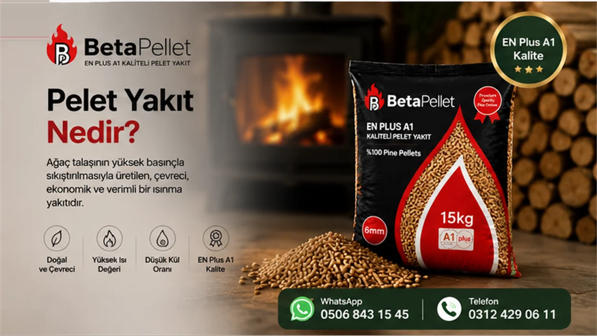 Pelet yakıt tanımı: sıkıştırılmış biyokütle peletleri - Beta Pelet